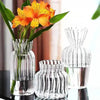 Nordic Transparent Plant Vase - My Store