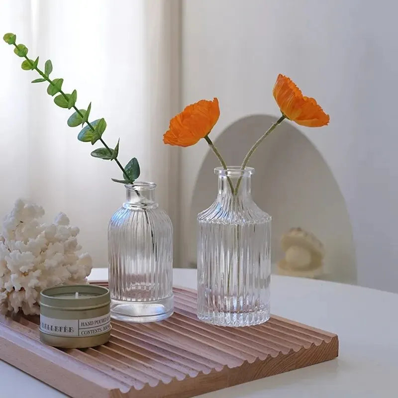 Nordic Transparent Plant Vase - My Store